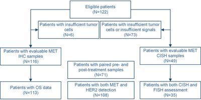 The Significance of MET Expression and Strategies of Targeting MET Treatment in Advanced Gastric Cancer